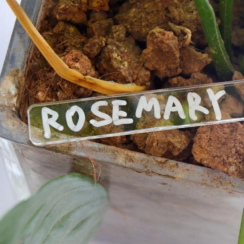 Acrylic Plant Labels 50PCS Clear Garden Labels Pot Clear Blank Ground Identifier Tag Acrylic Outdoor Label Markers Garden Labels