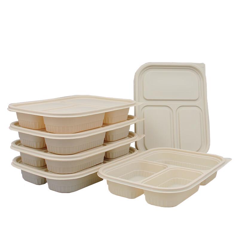 Compostable 3-Compartment Takeout Lunch Boxes