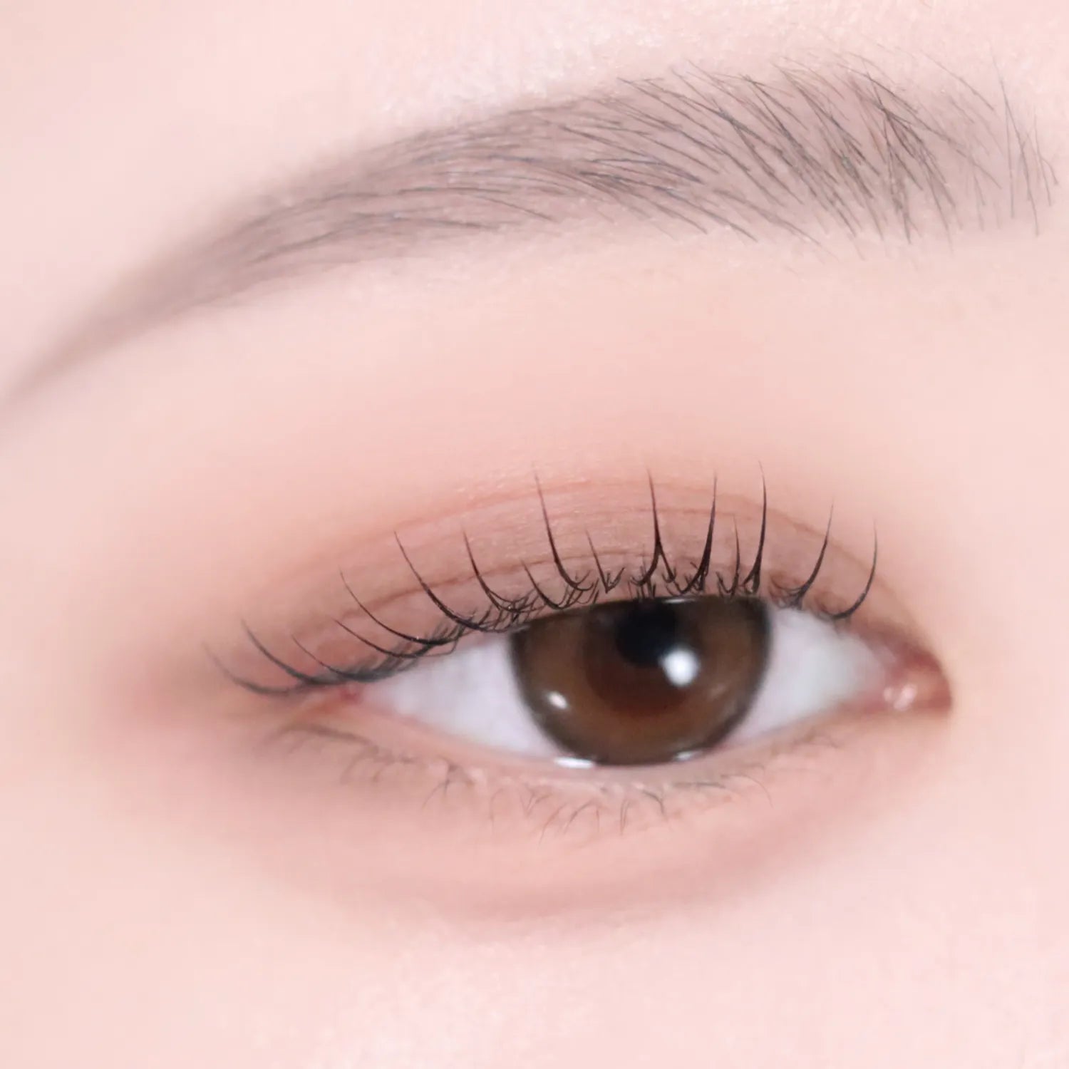 VDL Eyestain Essential Shadow Duo 01 Basic Brown