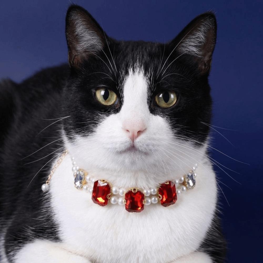 Double Layer Pet Pearl Collar Adjustable Luxury Pet Jewelry Ragdoll Cat