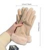 1PAIR Gloves Women's Winter Fleece Thickened Warm Ins Cute Touch Screen German Fleece Autumn and Winter Electric Vehicle Cold-proof Riding Gloves