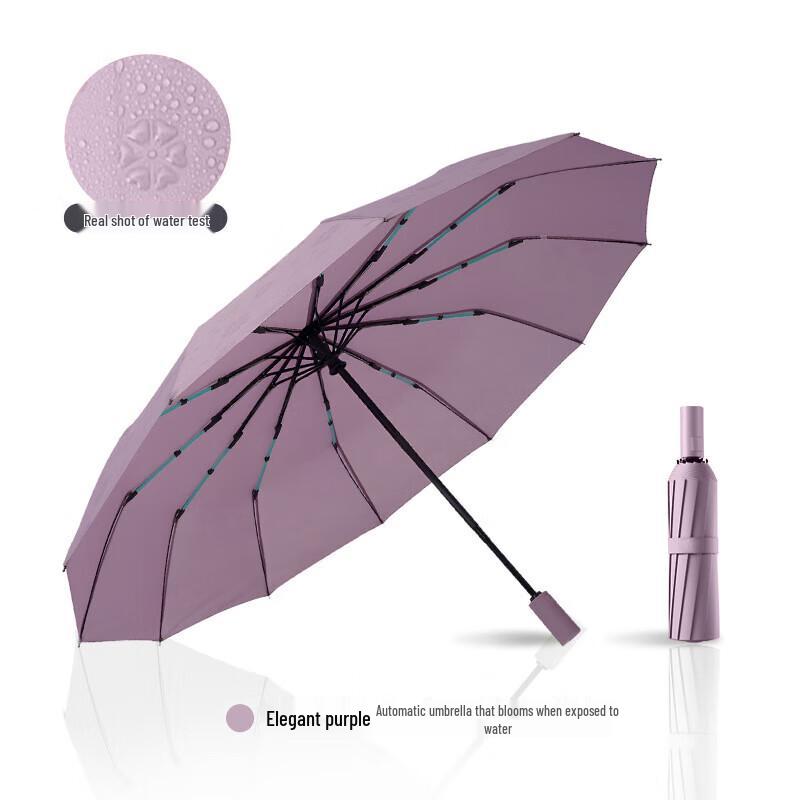 Automatic Folding Umbrella with Water-Activated Bloom