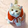 Katze Kostüm Santa Cosplay Lustige Verwandelt Katze/Hund Haustier Weihnachten Cape Dress Up Kleidung Roten Schal Mantel Requisiten Dekor