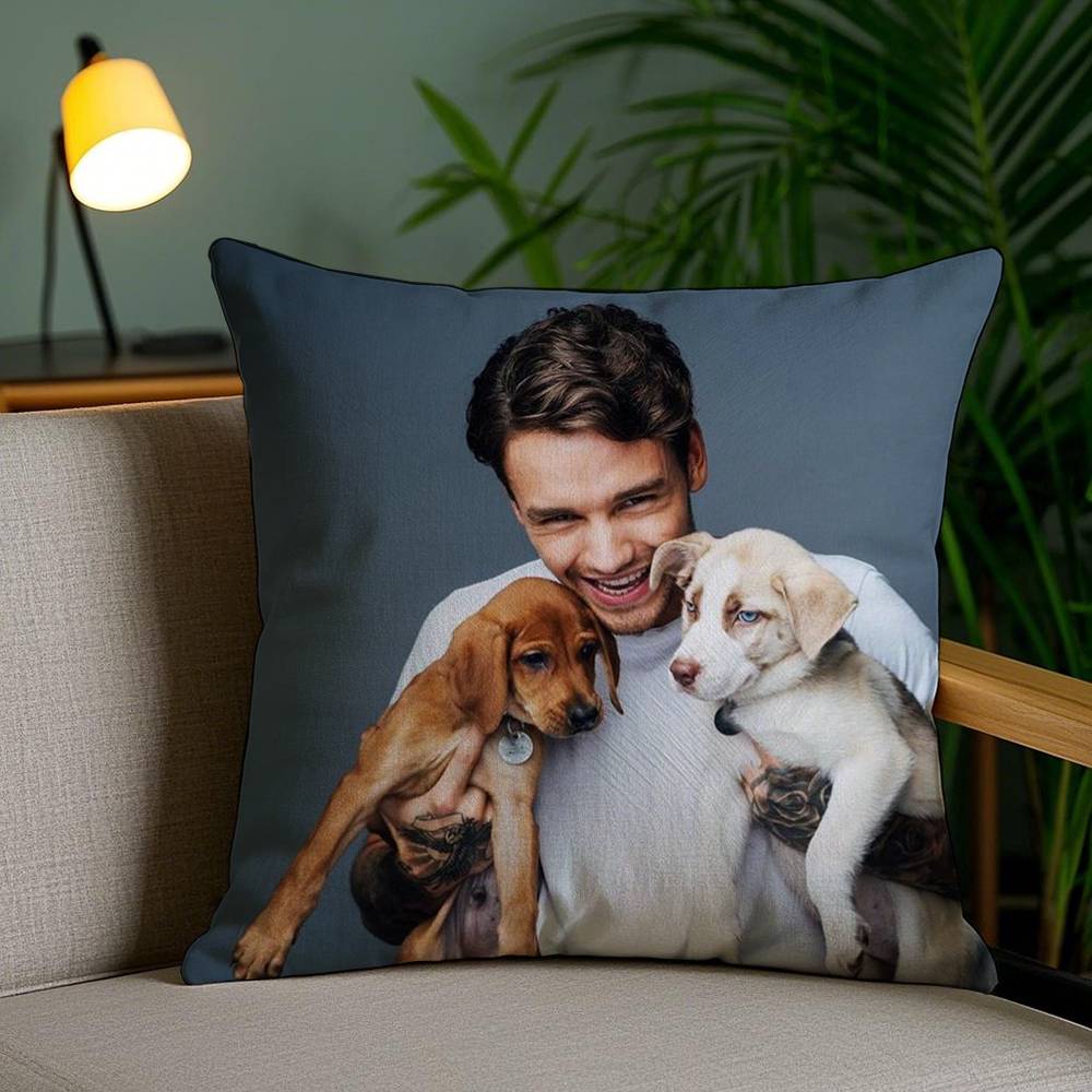 Pillow Case Singer L_Liam Payne Sofa Short Plush Double-Sided Hd Printing Room Home Office Gift Cushion Cover