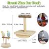 Natural Wooden Bird Training Frame Educational Toys Parrot Perch Wooden Platform Bird Playground Game Station Frame