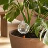 Self Watering Bulb, 500ml Transparent Automatic Plant Irrigation Ball, Holiday Plant Watering Bulb with Lid for Indoor Houseplants