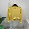 C S In The Room CrewneCk Cropped Long Sleeve Knit 5ColorS