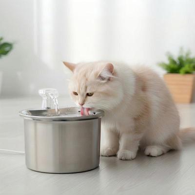 Gatti – Distributori di cibo e acqua per gatti