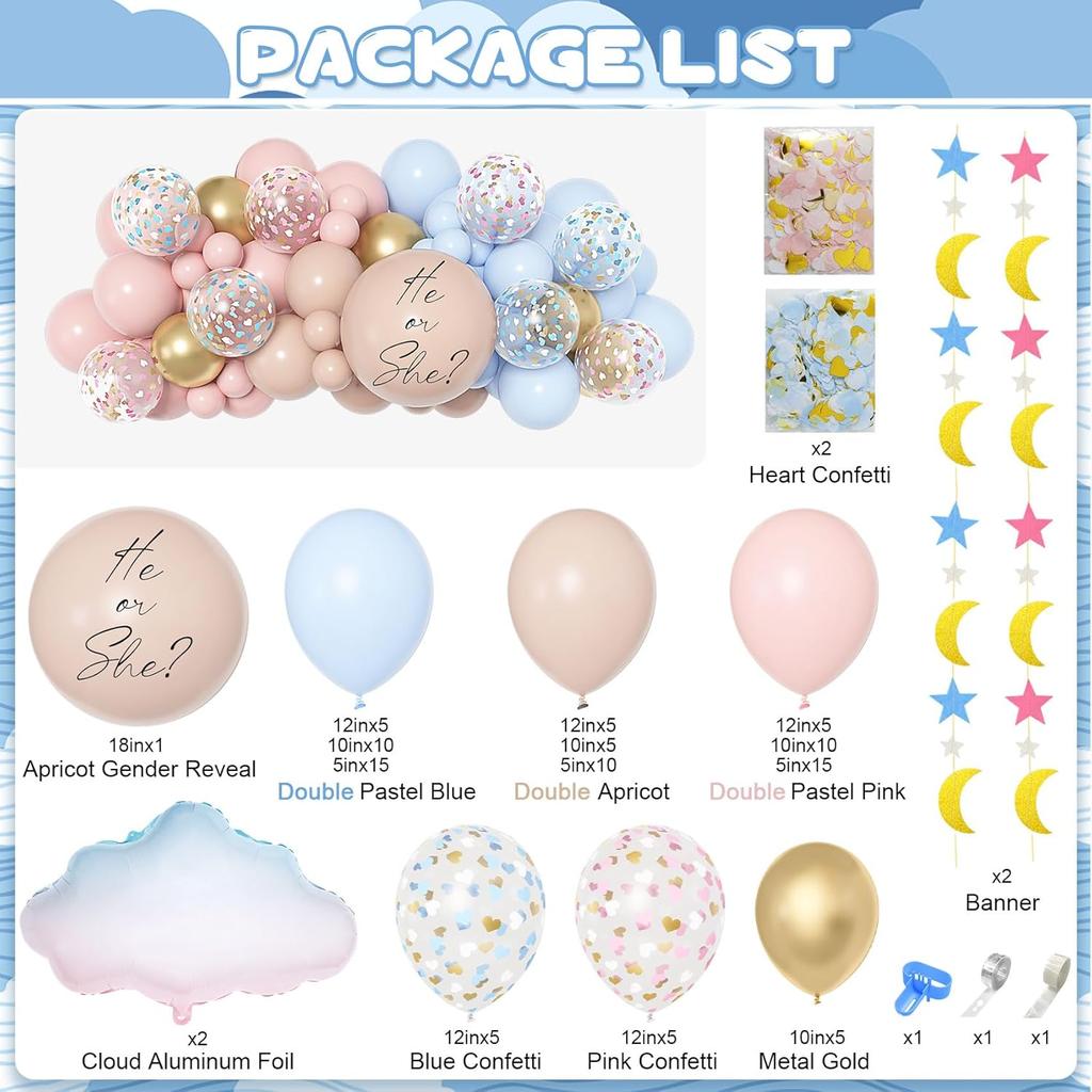 Amandir 185Pcs Gender Reveal Decorations, Double-Stuffed Pastel Pink and Blue Brown Nude Balloon Arch Kit White Cloud Hanging Moon Star Garland Boho