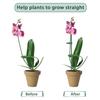 Plant Stakes with Clips Extendable Orchid Support Stake Gardening Plant Poles for Indoor Outdoor Potted Amaryllis Monstera Vegetables