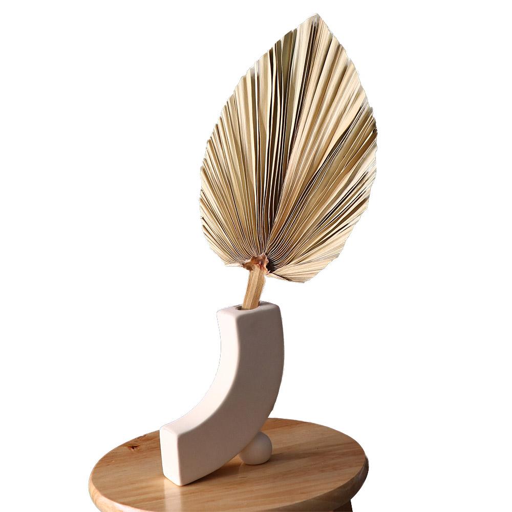 Home Party Boho Tropical Trimmed Bohemian Leaves Palm Spears Fan Leaf Dried Plant