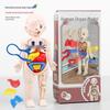 DIY Human Organ Model Toy for STEAM Science Education