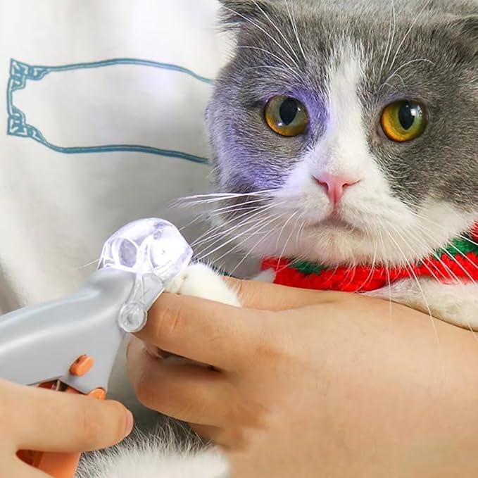 Pet nail clippers with LED light and sharpening for dogs and stainless steel safety compact low suitable for small to large nail care set function,