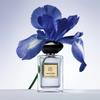 Giorgio Armani Iris Bleu Eau De Toilette(50/100ml)