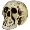 Ceramic Human Skull L