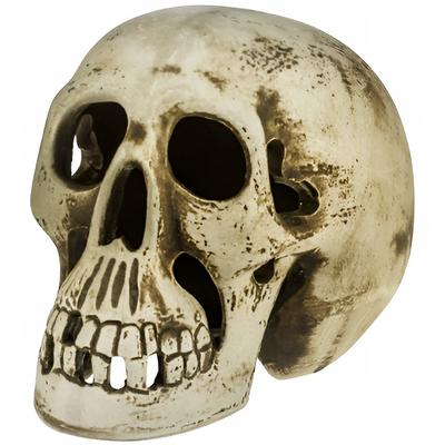 Ceramiczna Czaszka Człowieka L