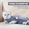Pet Postoperative Clothes Cat Weaning Cotton Clothes Cat Surgery Recovery Suit Winter Warm Anti-licking Surgery After Recovery