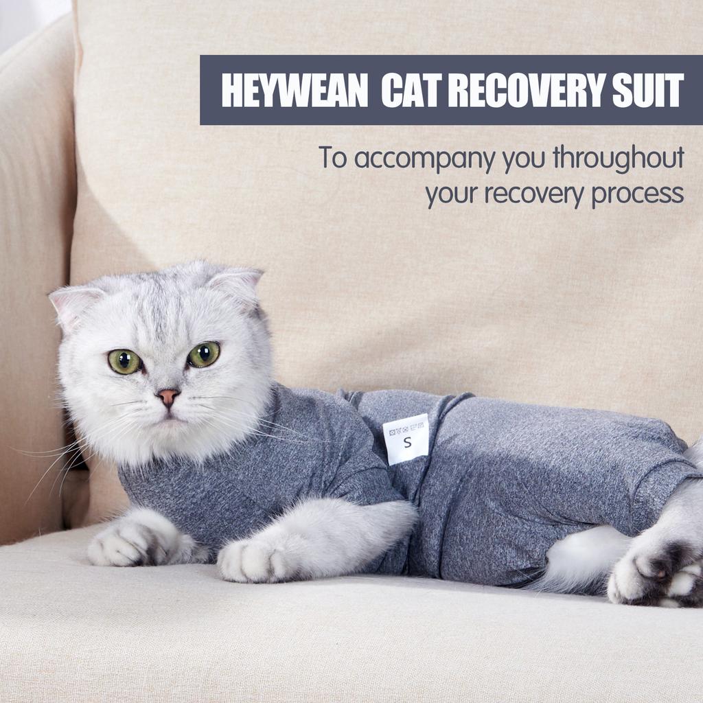 Pet Postoperative Clothes Cat Weaning Cotton Clothes Cat Surgery Recovery Suit Winter Warm Anti-licking Surgery After Recovery