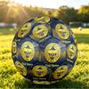 Personalized Size 5 Football Fenerbahçe FC Pattern Outdoor Game Sports Ball Gift