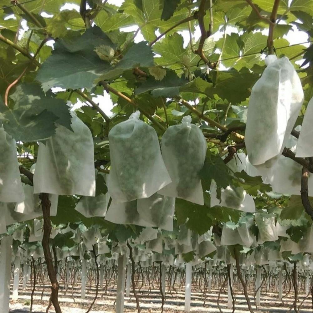 100Pcs Non-woven Fruit Protection Bags Breathable Anti-bird Insect Barrier Pouch Mesh Corrosion-resistant Plant Grow Bags