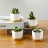Hexagonal Planter With Tray Ceramic Planter