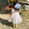 Girls Summer Embroidered Floral Cute Dress Girls Korean Style Princess Puff Net Lace Princess Dress