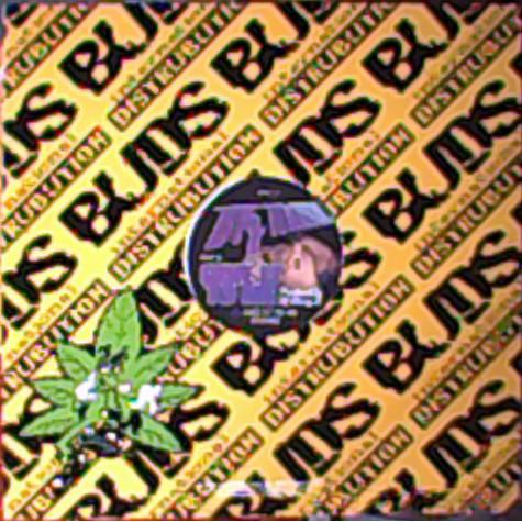 

12-дюймовая пластинка BIG MAMA - Give It To Me BMR507 Buds Distributi US Рэп и Хип-хоп/R&B Б/У