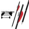 Xuan Yong Pure Carbon Arrows