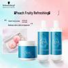 Schwarzkopf Professional Conjunto de Tratamento Capilar Nutritivo Hydro-Essence