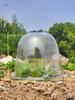2520 Gallon Reusable Breathable Plastic Seedling Covers with Lids for Frost Protection and Misting