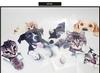 Prendre Car Sticker Dog Cat Cute Animal Dress Up Car