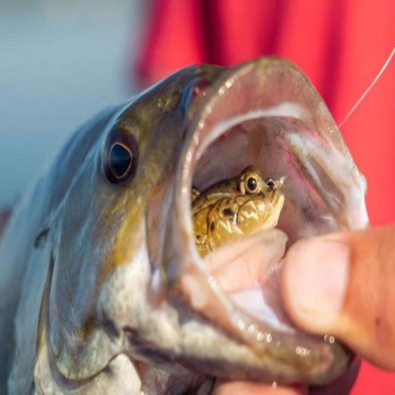 10g Sleeper Goby Soft Fishing Lure Flexible Silicone Jig Wobbler Bait for Professional Angler Saltwater Bass Fishing