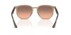 Sunglasses 0RB4306F TORTLEDOVE 54 Ray-Ban