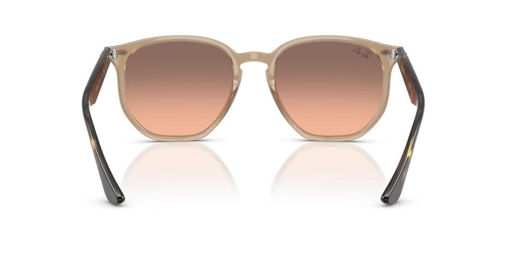Sunglasses 0RB4306F TORTLEDOVE 54 Ray-Ban