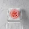 Hot Pink Roses Swan Feathers Geometric Cushion Cover Modern Fashion Nordic Simple Pillowcase Home Decor Sofa Throw Pillows Cover