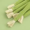 Silvervine Stick Cats Toy Natural Cats Chew Toy for Teeth Cleaning,Matatabi Dental Care Kitten Treat for Bored Kitties