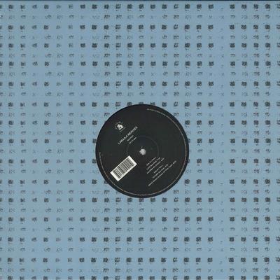 12inch Record LARAAJI  Laraaji Remixes WASTEP1 All Saints 2014 UK Dance  Electronica