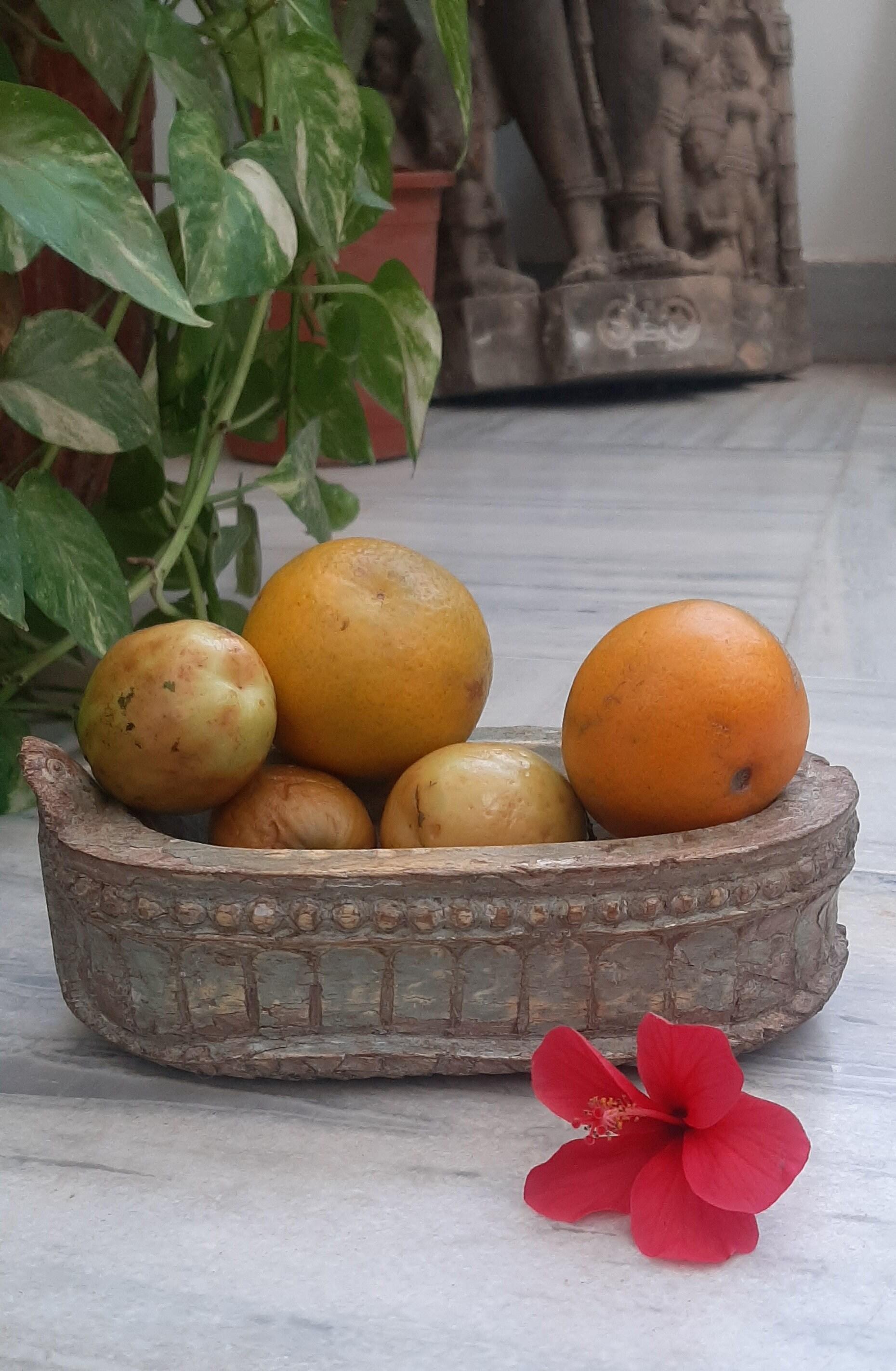 

Handmade Wooden Fruit Bowl: Rustic Carved Basket, Traditional Kitchen Storage 16” X 8” X 24” (l x w x h) разноцветный