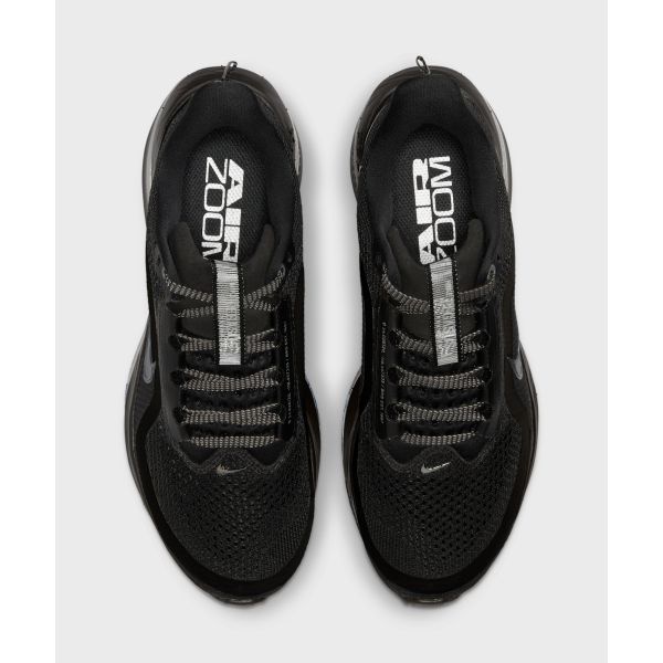 Nike Dámské tenisky Pegasus Premium Black Metallic Silver HQ2593-004
