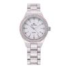 BS Bee Sister New Women Watch Fashion High Quality Casual Waterproof Stainless Steel Wristwatch Lady Quartz Watch Gift for Wife