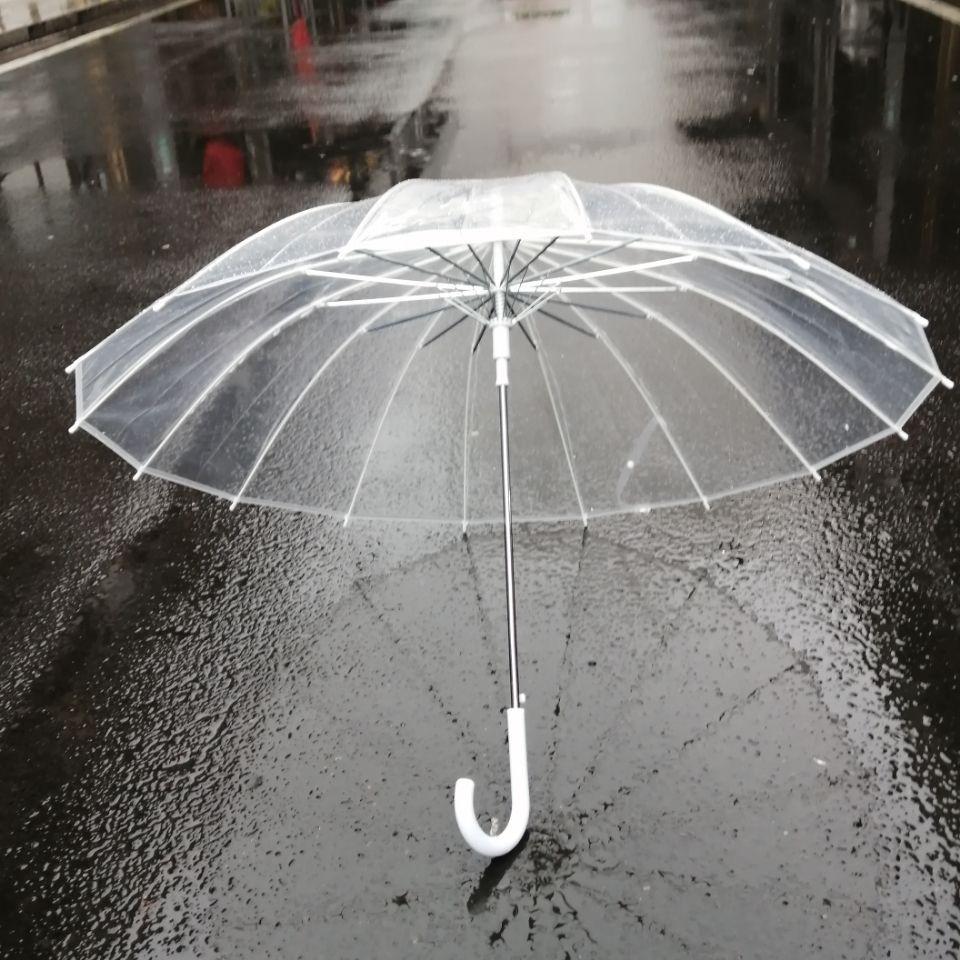 Large Transparent Windproof Umbrella for Two, Semi-Automatic, Solid Color, Reinforced Long Handle
