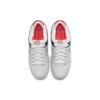 Nike Dunk Low SB AM90 Infrared Unisex Sneakers White CD2563-004