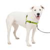 PetSafe Deluxe Easy Walk Dog Apple Green X Anti-Pull Harness, Black, M/L