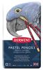 Derwent Colored Pencils, Pastel Pencils, 12-Color Set, 32991