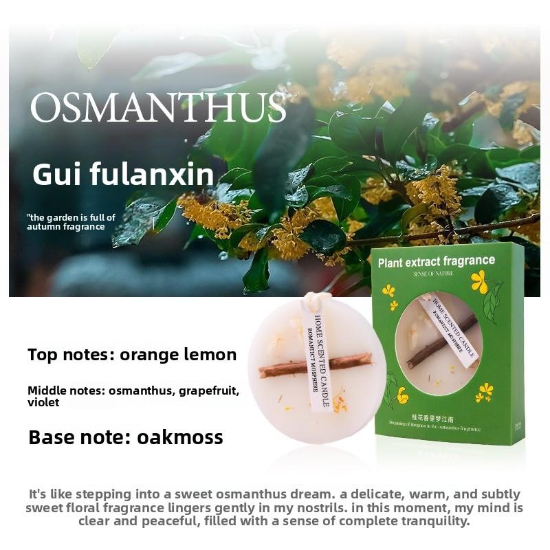 

Osmanthus Scented Wax Tablets, Wardrobe Fragrance Tablets, Clothes Deodorizing, Home Bedroom Long-lasting Fragrance Hanging Accessories Guifu Orchid