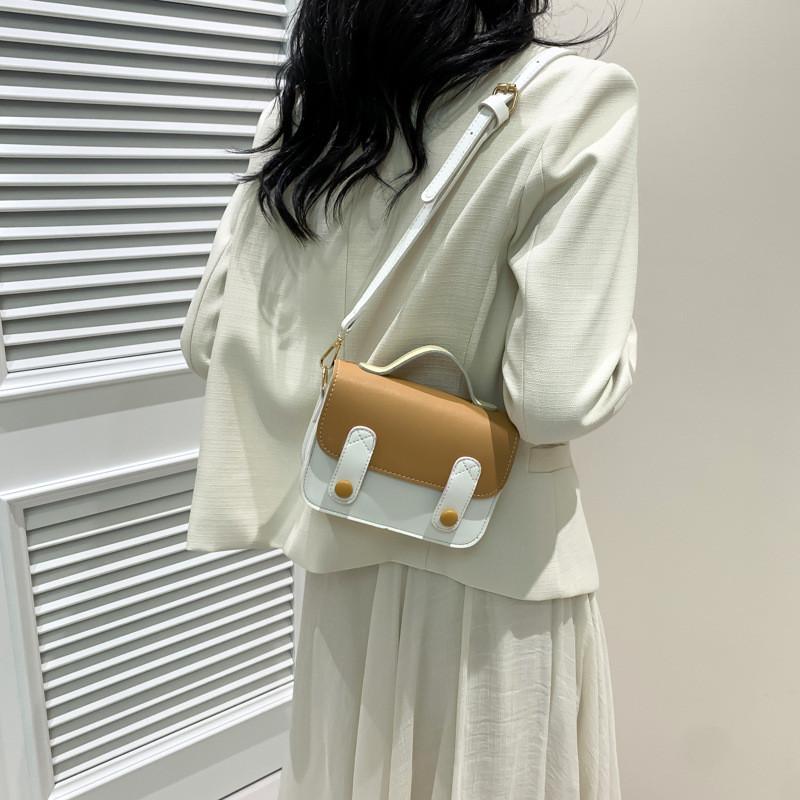 Chic Spring Season Small Square Handbag In Trendy Colors For Daily Casual Style