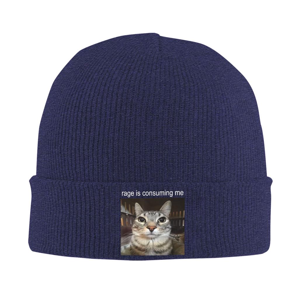 Rage Is Consuming Me Silly Staring Cat Beanie Hats Bonnet Hats Adult Unisex Casual Hippie Knit Hat Winter Custom Head Wrap Caps