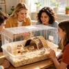 Hamster Bridge Natural Portable Wooden Entertainment Ladder Pet Climbing Bridge Toy for Exercise Play Hiding Foraging
