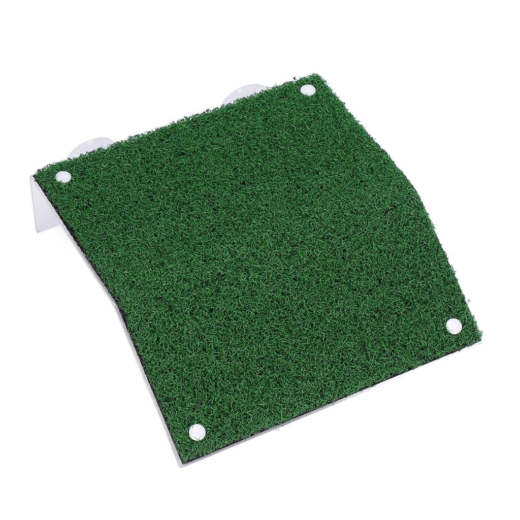 Fish Tank Tortoise Terrace Acrylic Simulation Green Grass Skin Amphibious Tank Ladder Crawling