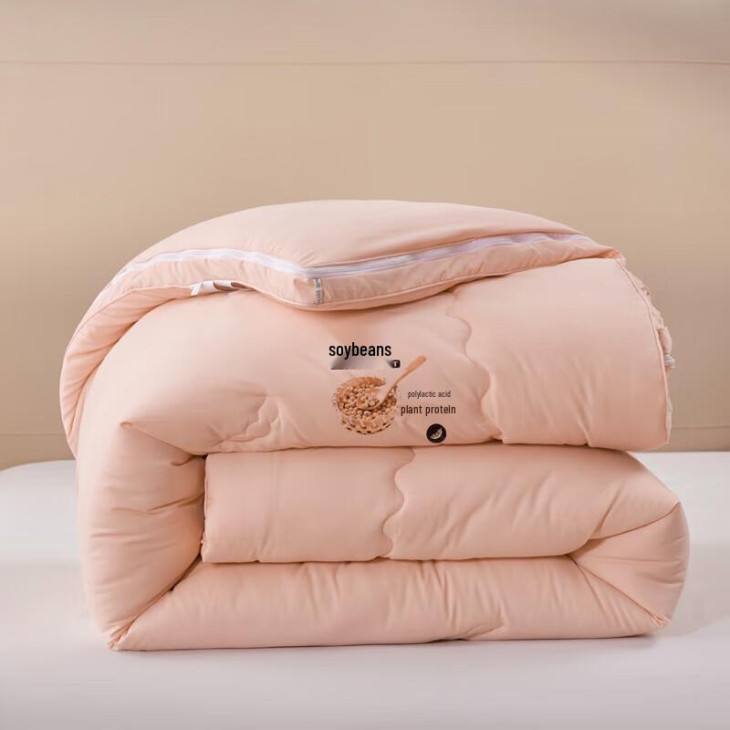 PAUI DAVID Lyocell Two-in-One All-Season Comforter